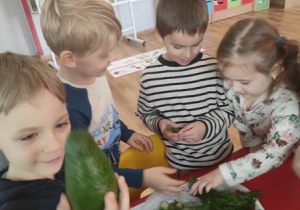 Dzieci oglądają, próbują warzywa.